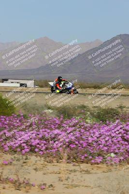 media/Feb-04-2023-SoCal Trackdays (Sat) [[8a776bf2c3]]/Turn 15 Inside Blooming (1050am)/